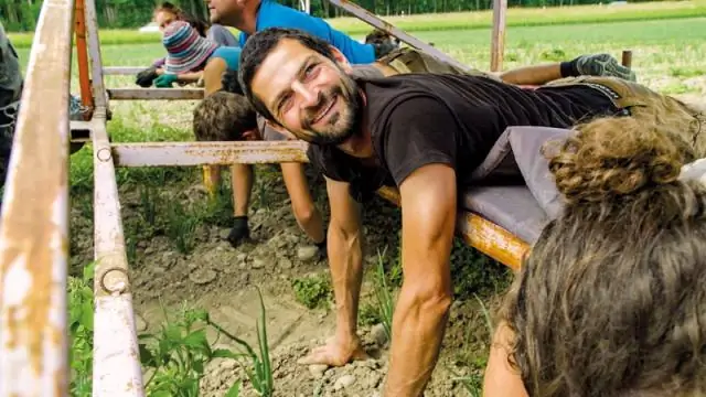 Почему наша планета переживает ледниковый период каждые 100 000 лет?