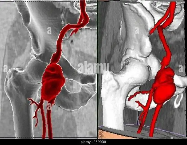Первая реконструкция инфекционных вирусов гриппа летучих мышей