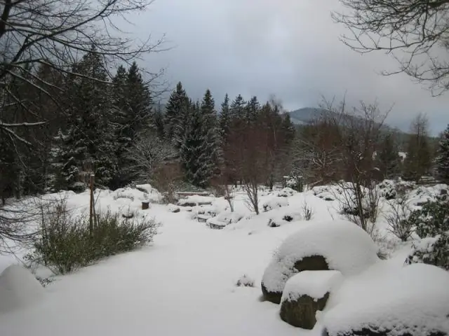 Чрезвычайно холодные зимы, вызванные реактивным течением и изменением климата