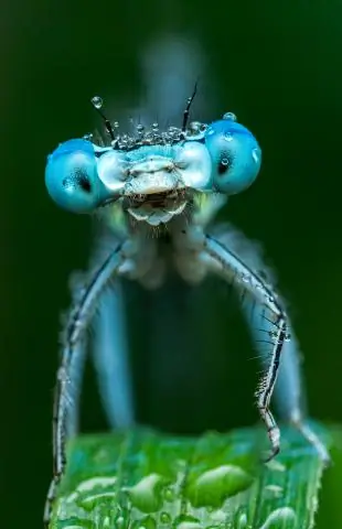 «Суперэмитенты», ответственные за более половины выбросов метана в США