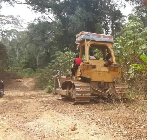 Нигерийская супермагистраль угрожает местным жителям, слонам и гориллам