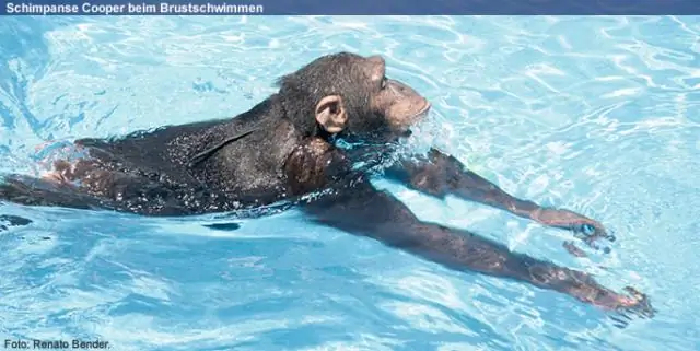 Тайна плавания тропических паразитов раскрыта