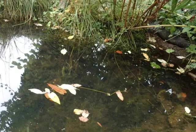 Странное поведение в переполненной сотовой среде