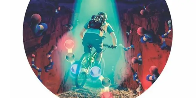 Ученые переключают молекулярные переключатели, чтобы различать близкородственные популяции иммунных клеток