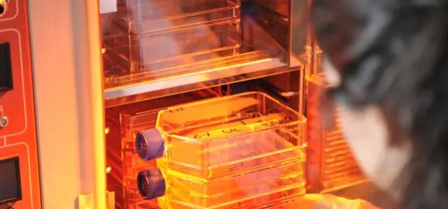 Новый космический взгляд на искусственный углекислый газ