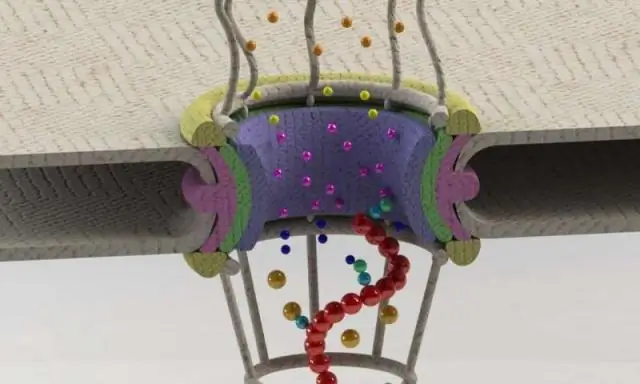 Белки-привратники к аберрантной РНК: вы не пройдете