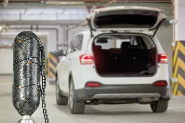 Обман мотыльков, чтобы раскрыть вычислительные основы сенсорной интеграции