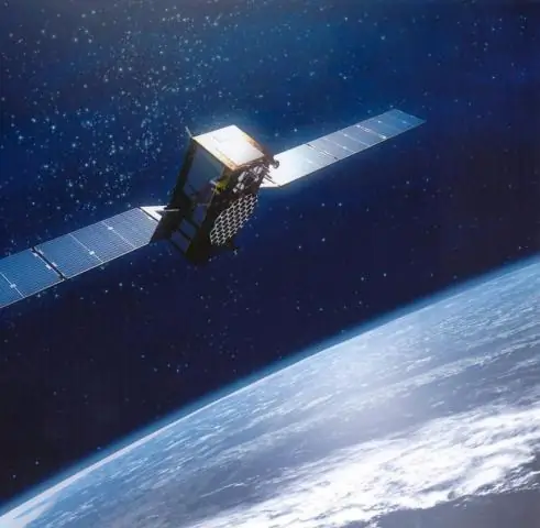 Песня китов «Система GPS»: обнаружен ранее неизвестный компонент песен китов