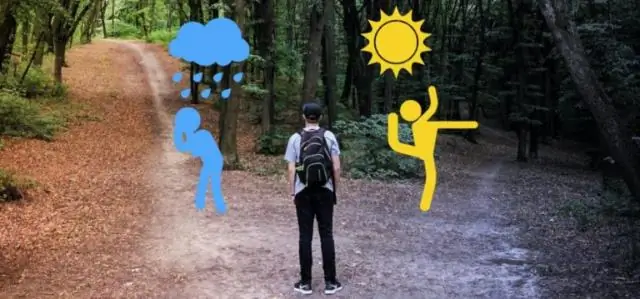 Спиральный рост: обнаружена петля обратной связи за спиральными узорами растений?