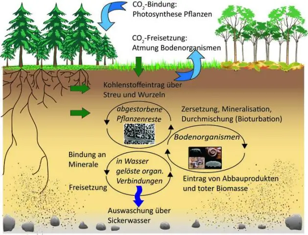 Почва может стать значительным источником углекислого газа