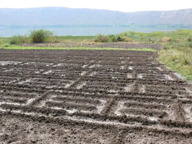 Увеличение стоимости стихийных бедствий по мере изменения климата
