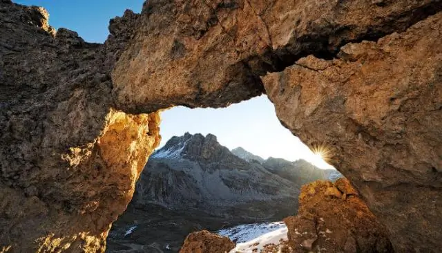 Древние зубатые черепахи дожили до 160 миллионов лет назад