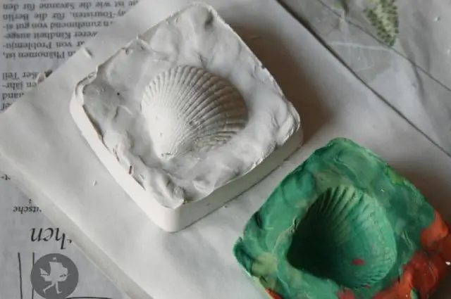 Патагонские ископаемые листья свидетельствуют о быстром восстановлении после вымирания динозавров