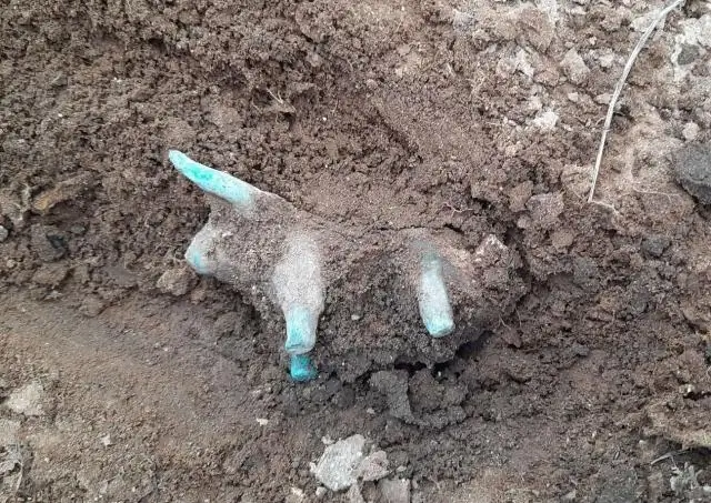 Шанс найти после проливных дождей: в Курдистане обнаружены слепые виды рыб