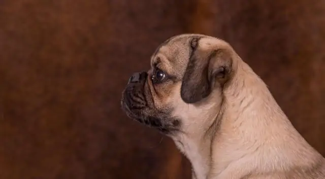 Мобы иногда хороши