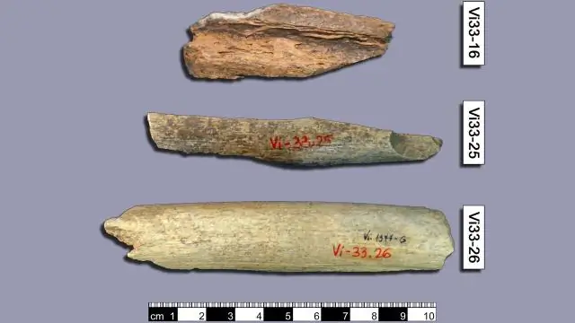 Расшифровка генома японской ипомеи