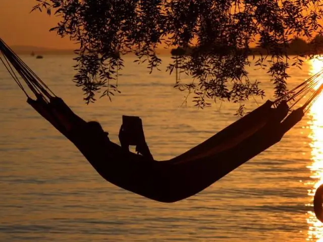 Окаменелости Гренландии свидетельствуют о восстановлении глобальной экосистемы после массового вымирания