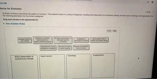 Изменение взглядов на эволюционные факторы, воздействующие на древнейших млекопитающих: новый анализ эволюции и биомеханики