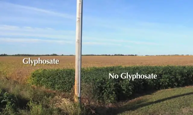 Люди, которые знают о генетически модифицированных продуктах, согласны с наукой: они безопасны