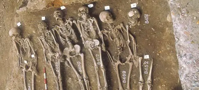 Исследователи разгадывают тайну исторического лондонского тумана 1952 года и нынешней дымки в Китае