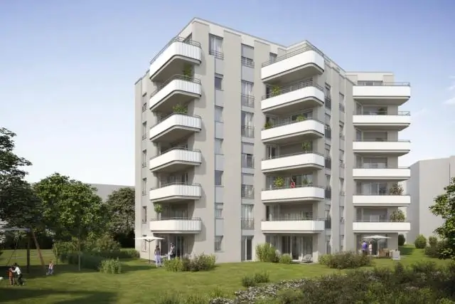 Умелые какаду, умеющие делать один и тот же инструмент из разных материалов