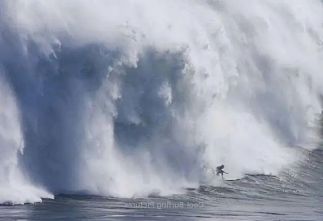 Деградация рифов на Мауи связана с качеством прибрежных грунтовых вод