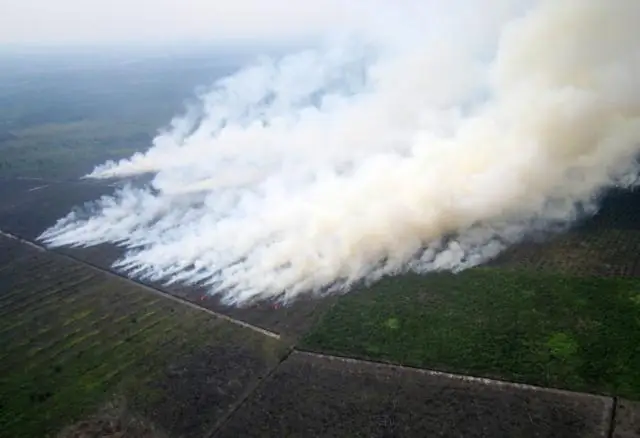 В результате пожаров в Индонезии 69 миллионов человек подверглись «смертельному туману»
