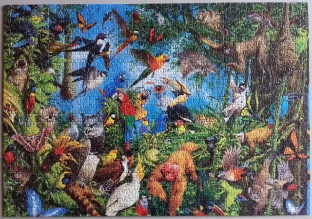 Муравьиные мосты соединяют застенчивые кроны тропических деревьев: исследование биоразнообразия муравьев подтверждает основные принципы островной биогеографии