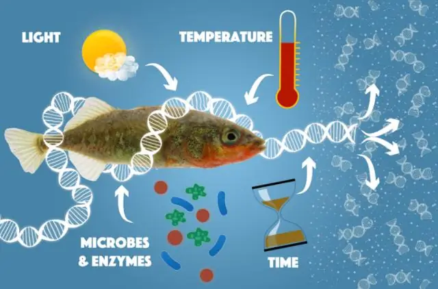 EDNA в образцах морской воды может выявить состояние популяций глубоководных рыб: данные eDNA о видах гренландских рыб близко соответствуют траловым уловам