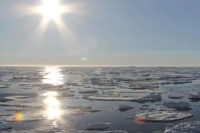 Влияние потепления климата и сокращения морского льда на миграцию арктических китов