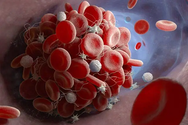 Тревожные следы резистентных бактерий в воздухе