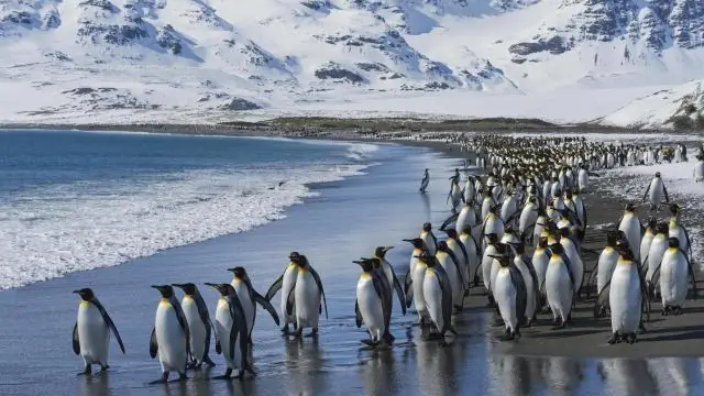 Увеличенные выбросы закиси азота обнаружены в ходе эксперимента по потеплению в Арктике