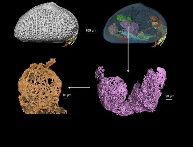 Ученые реконструируют формирование южных Аппалачей