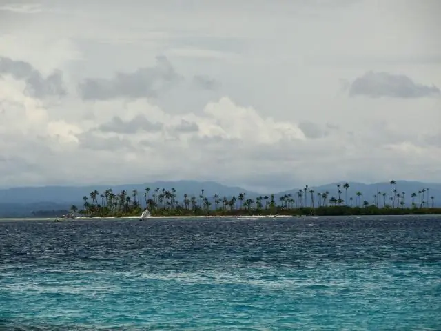 Большинство богатых видами коралловых рифов не обязательно защищены