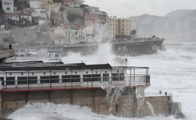 Глубоководные кораллы в Северной Атлантике сталкиваются с угрозой из-за изменения климата