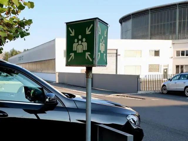 Какие сообщения посылают маркировки самок птиц?