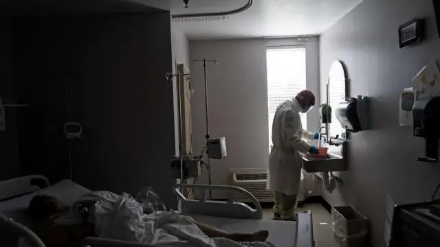 Ученые предлагают десять мер по защите жизненно важных опылителей