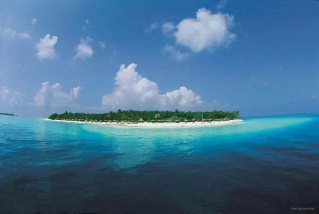 Из-за изменения климата не все изменения популяций диких животных предсказуемы: экологи обнаружили неожиданное изменение распределения в 17-летнем исследовании горных птиц