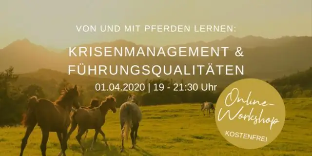 Уход за дикими лошадьми - постоянная проблема в США