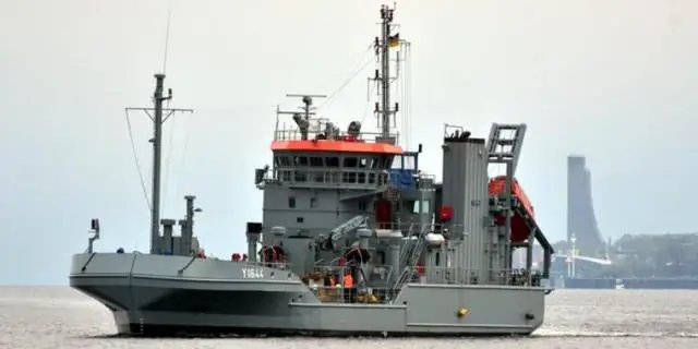 Новый инструмент для прогнозирования помогает судам избегать горячих точек синих китов: спутниковое отслеживание информирует карты о плотности синих китов у западного побережья