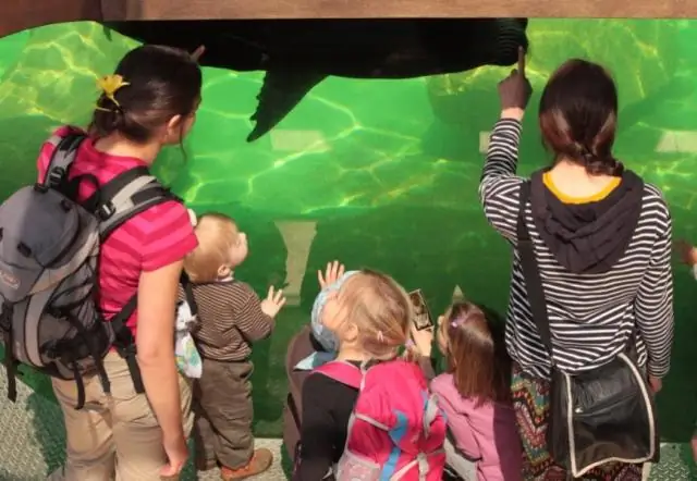 Каждый вид животных содержит уникальное микробное сообщество и получает от этого пользу