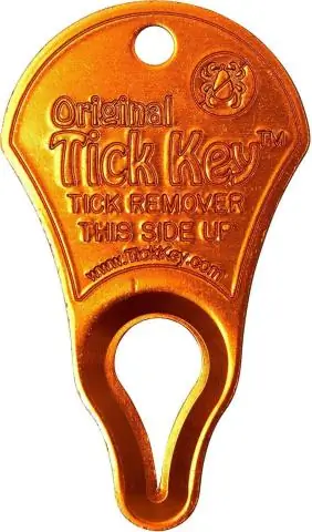 Регулируемая охота – ключ к сохранению черного медведя, утверждают ученые