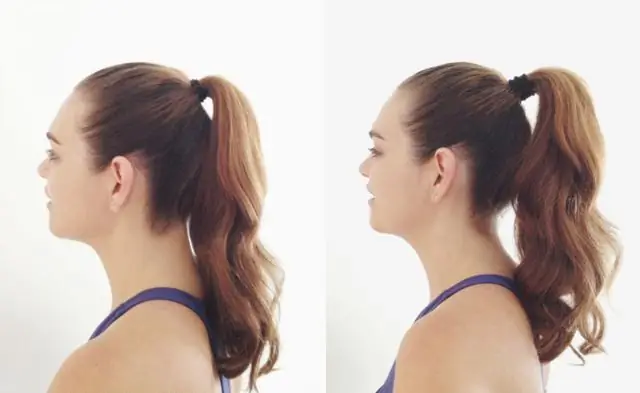 Волосы на хвосте раскрывают особенности питания трех видов лошадей в пустыне Гоби