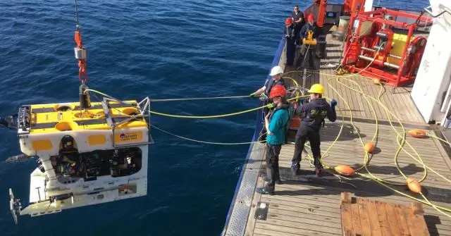 Объединение сил для новых решений в области устойчивой аквакультуры