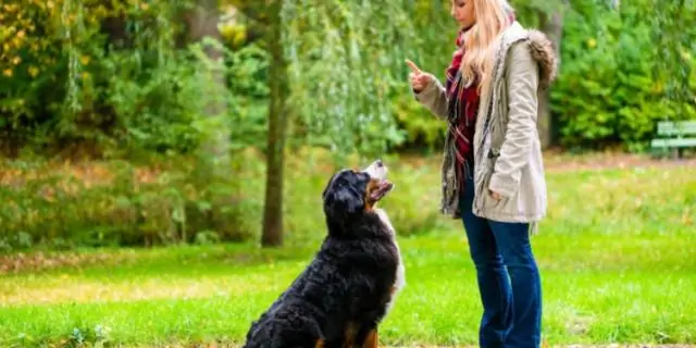 Обучение делает животных умными