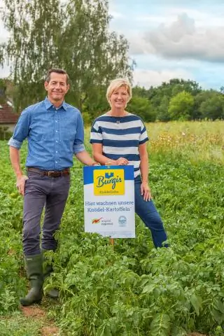 Лазерная техника улучшает аэрофотосъемку лесных массивов