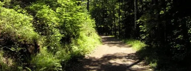 Интенсификация землепользования приводит к повсеместному распространению одних и тех же видов: задокументирована гомогенизация видовых сообществ в нашем ландшафте