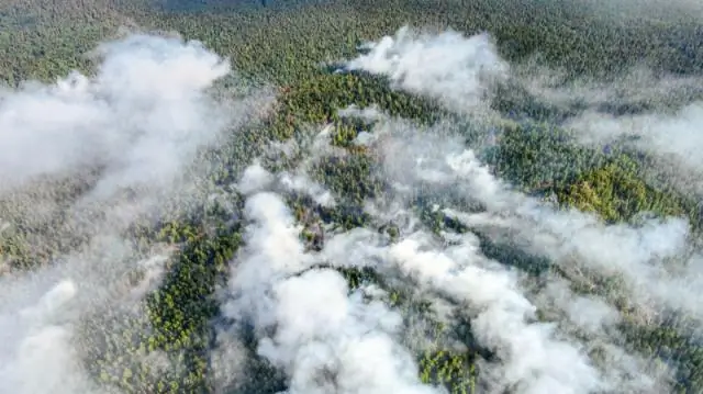 Пожары, устроенные охотниками ледникового периода, уничтожили леса по всей Европе