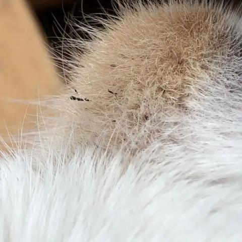 Черный фосфор не боится воды (если она деаэрирована)