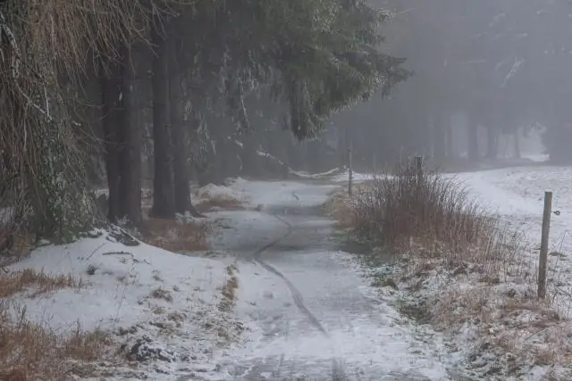 Самое холодное десятилетие тысячелетия? Как холод 1430-х годов привел к голоду и болезням